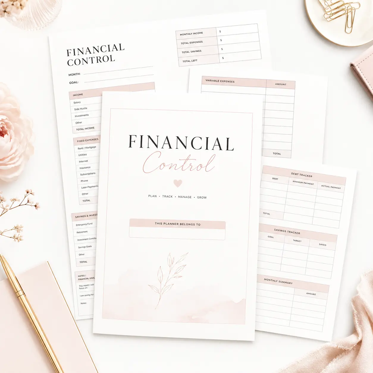 Financial Control mockup
